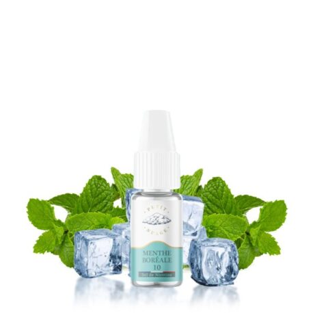 menthe-boreale-nic-salts-10ml-petit-nuage.jpg