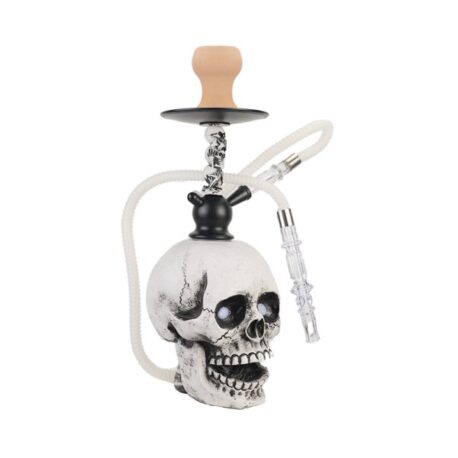 chicha-modele-skull-led-2.jpg